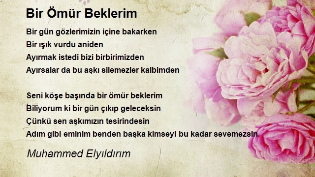 ankara eskoer anna colwell