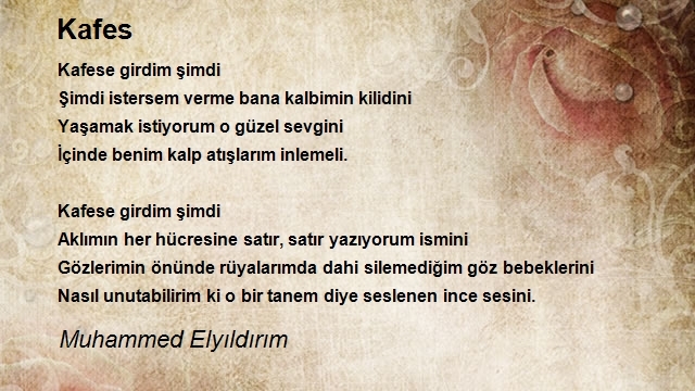 Muhammed Elyıldırım