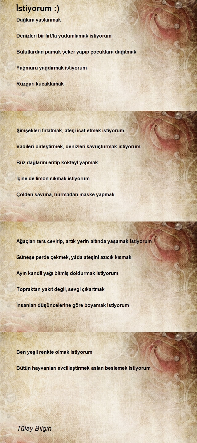 Tülay Bilgin