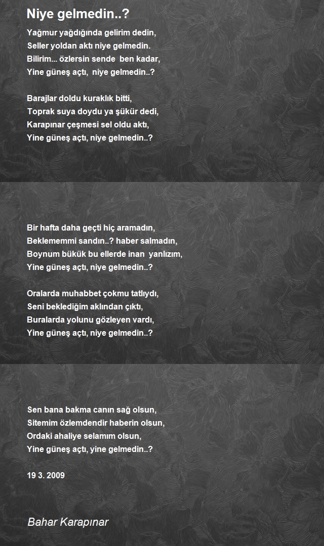 Bahar Karapınar