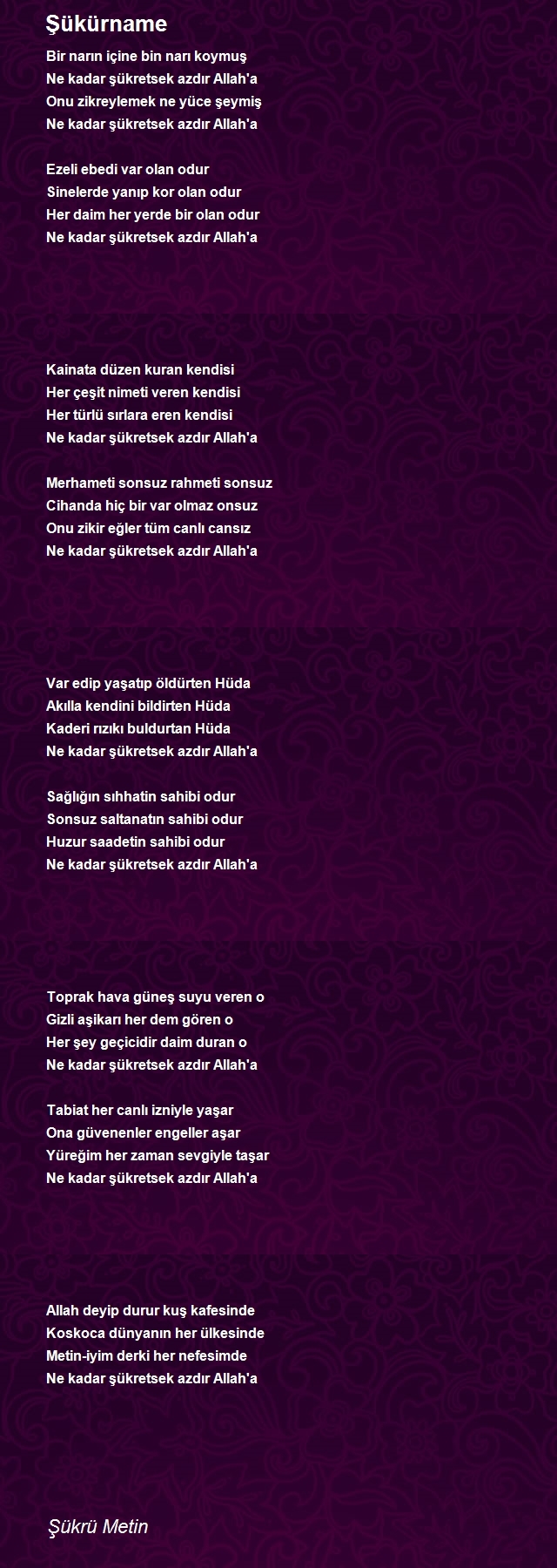 Şükrü Metin