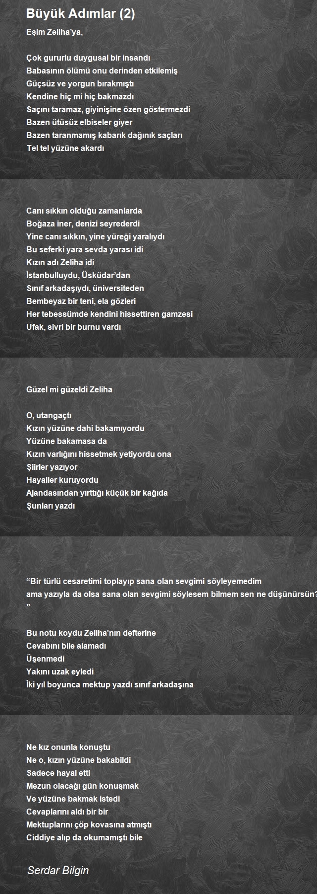 Serdar Bilgin
