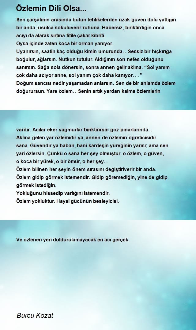 Burcu Kozat