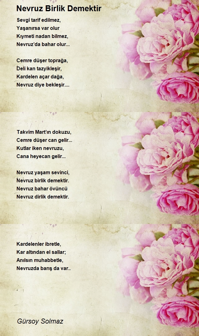 Gürsoy Solmaz