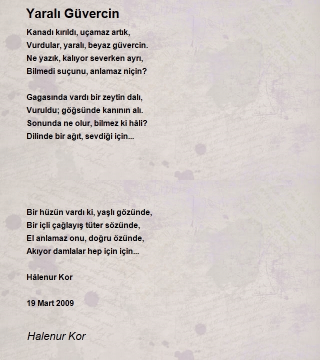 Halenur Kor