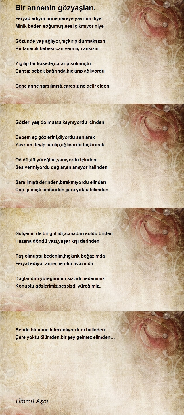 Ümmü Aşcı