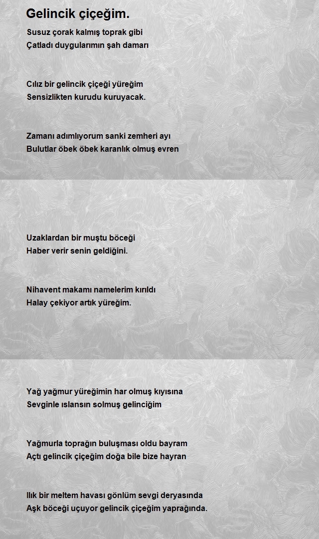 Ümmü Aşcı