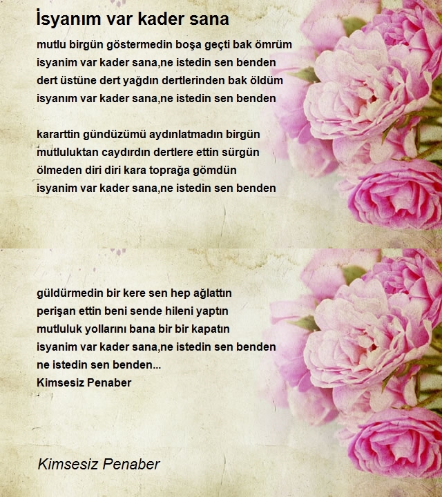 Kimsesiz Penaber