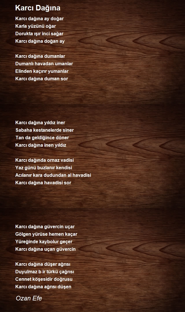 Ozan Efe