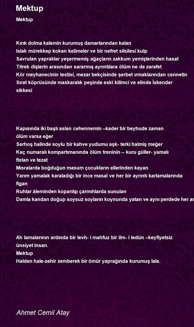 Ahmet Cemil Atay