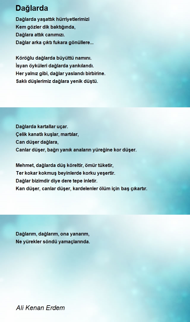Ali Kenan Erdem