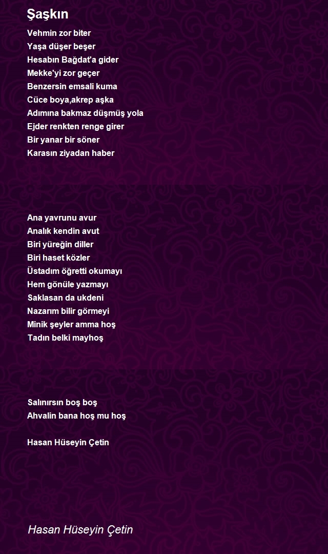 Hasan Hüseyin Çetin