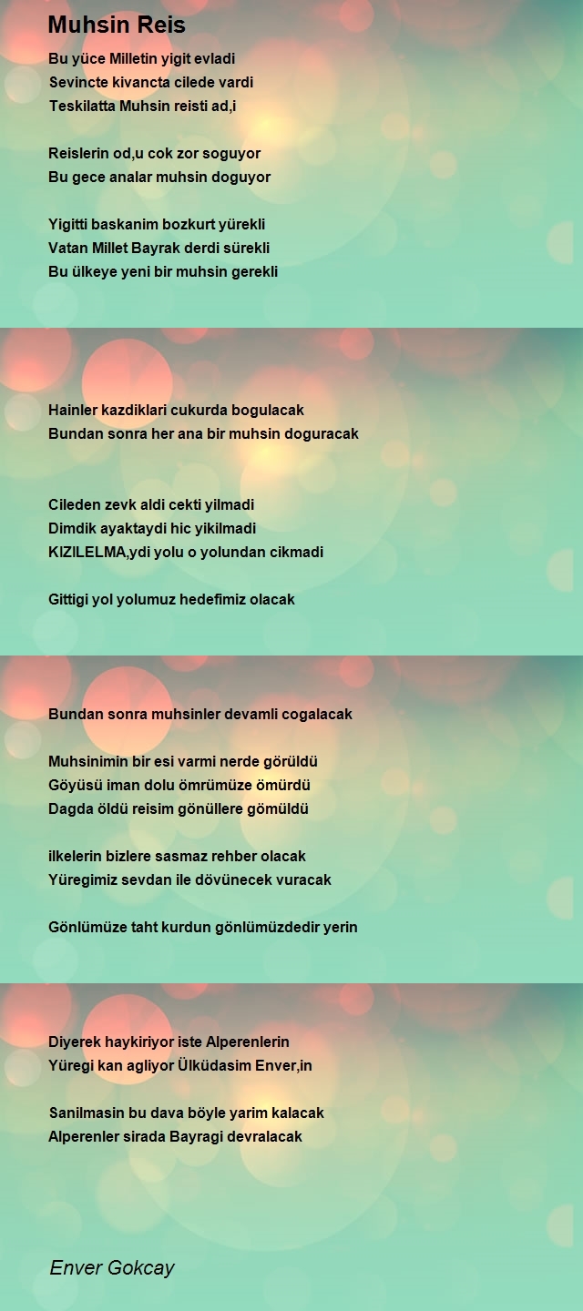 Enver Gokcay