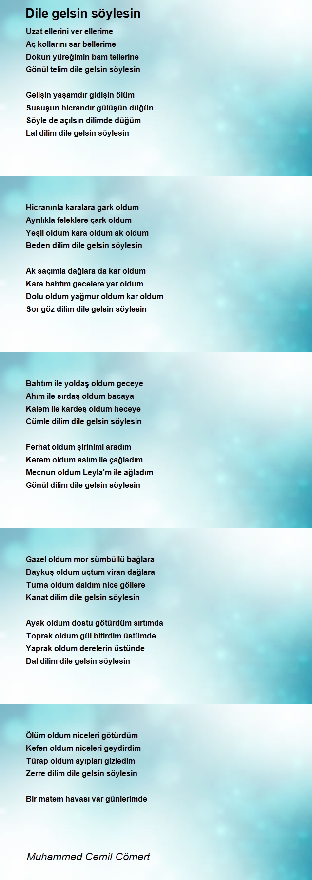 Muhammed Cemil Cömert