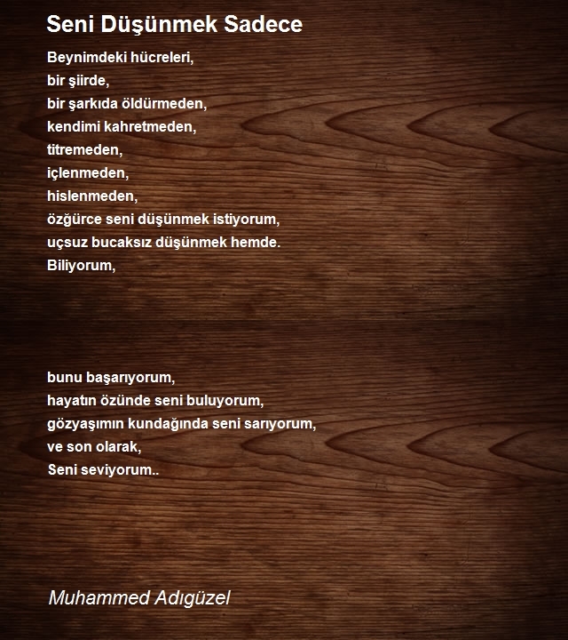 Muhammed Adıgüzel