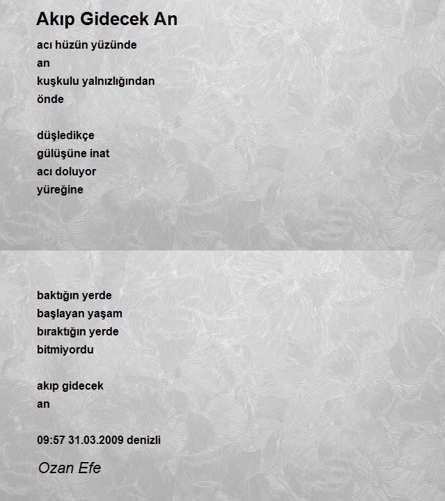 Ozan Efe