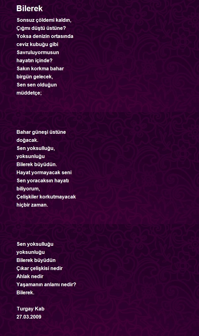 Turgay Kab