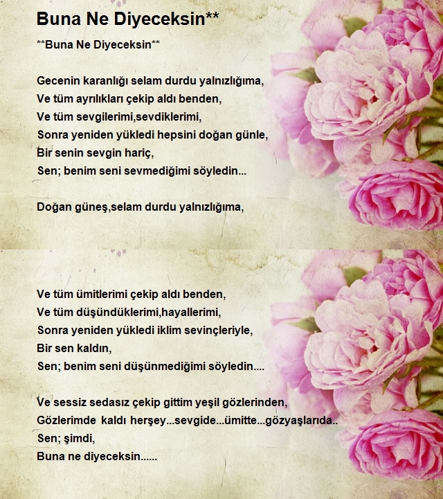 Hadiye Budak