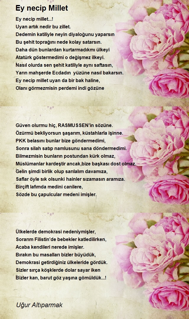 Uğur Altıparmak