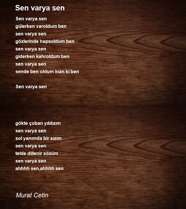 Murat Cetin