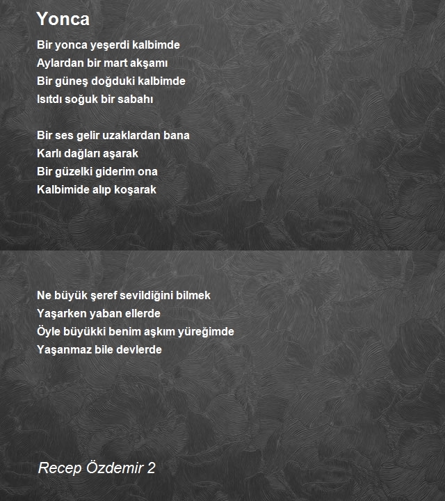 Recep Özdemir 2
