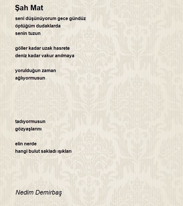 Nedim Demirbaş
