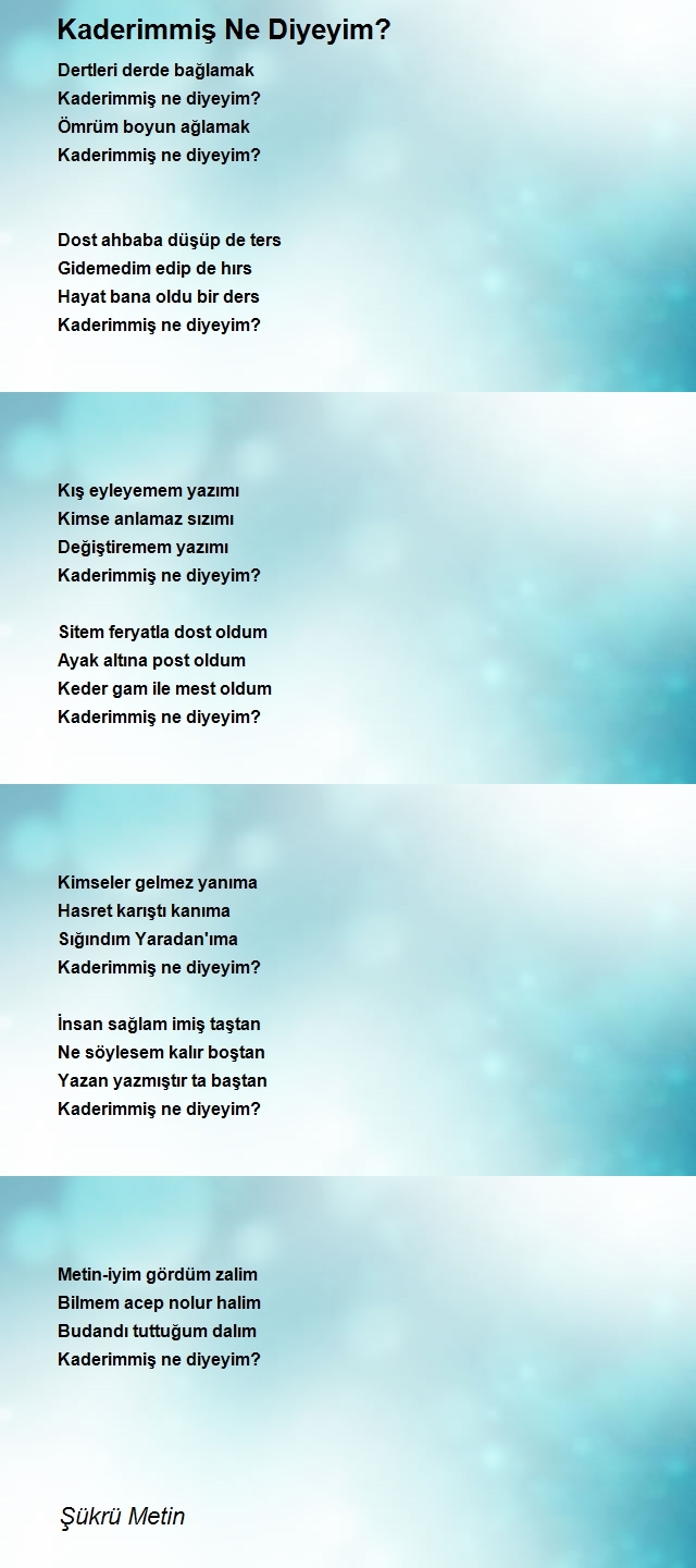 Şükrü Metin