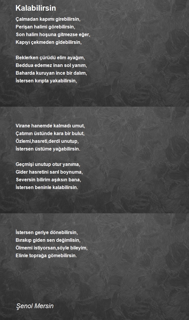 Şenol Mersin