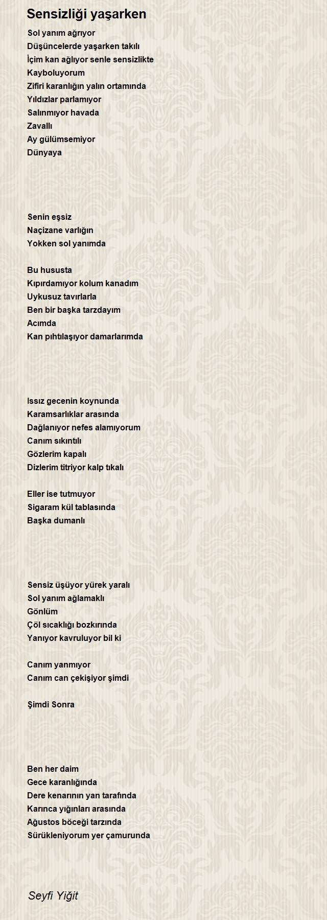 Seyfi Yiğit