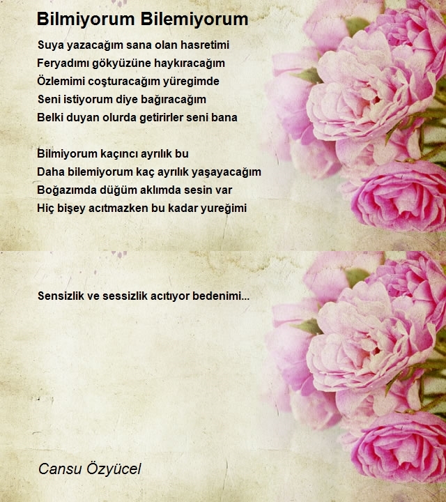 Cansu Özyücel