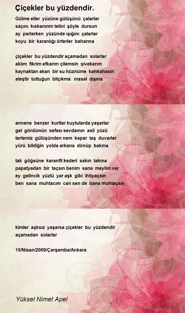 Yüksel Nimet Apel