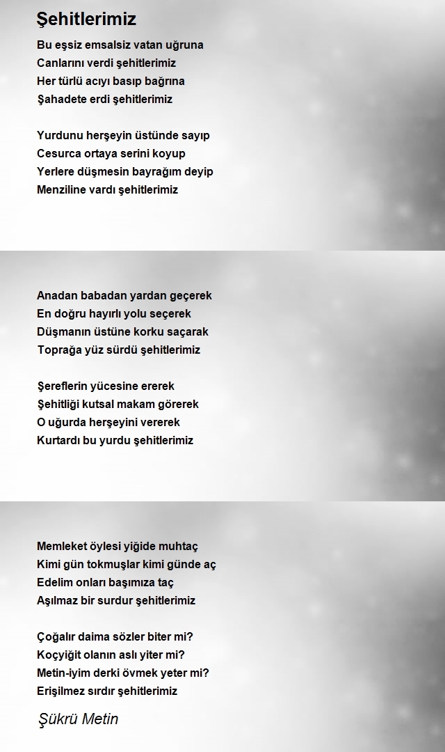 Şükrü Metin