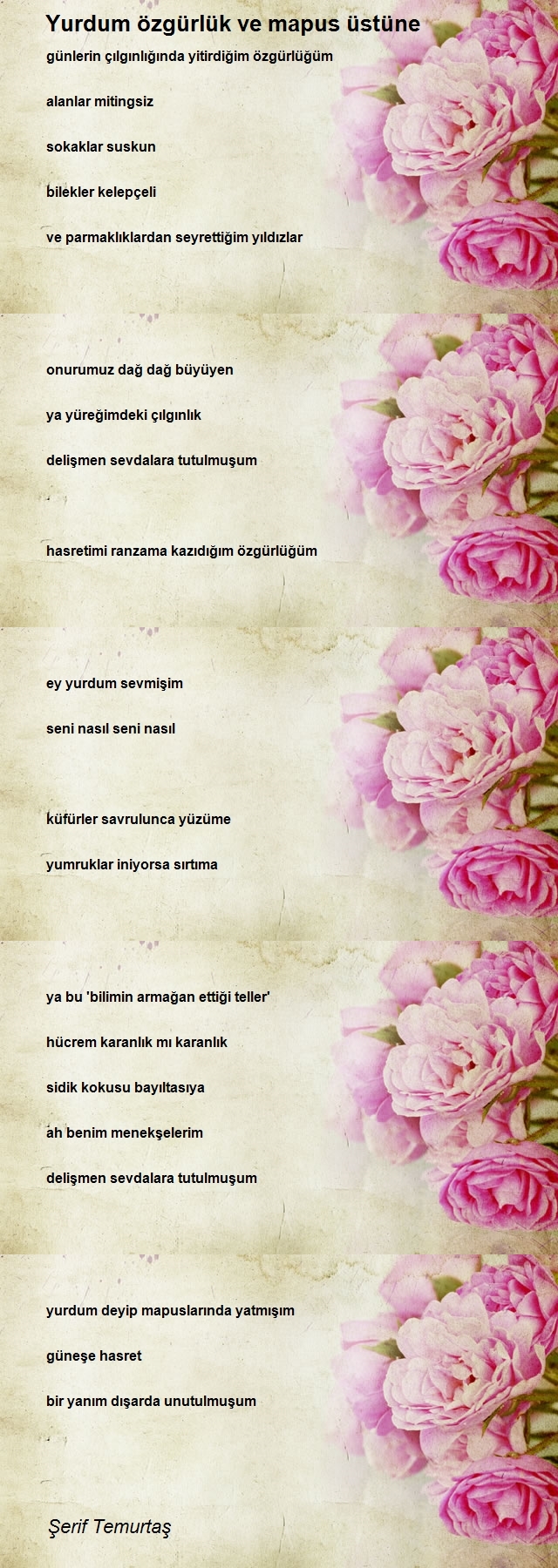 Şerif Temurtaş