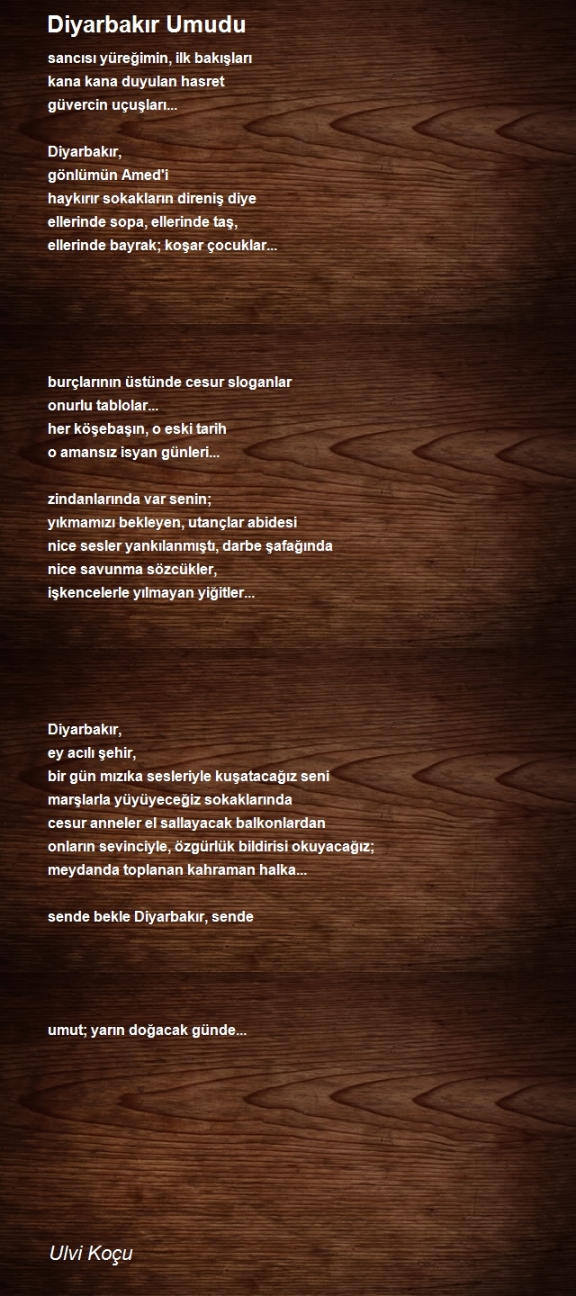 Ulvi Koçu