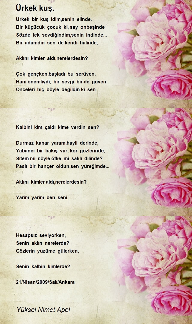 Yüksel Nimet Apel