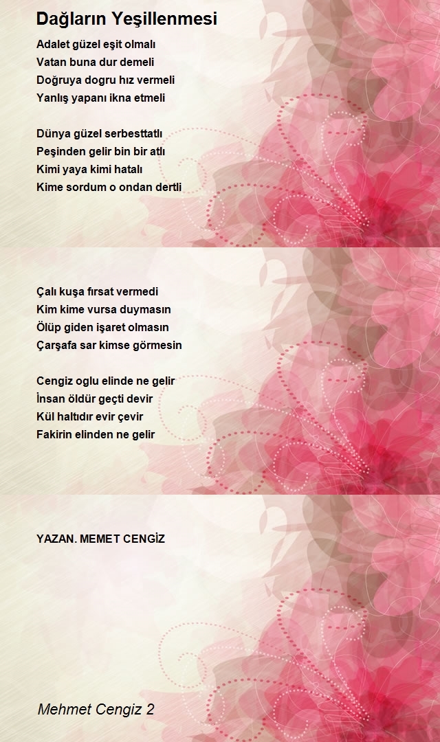 Mehmet Cengiz 2