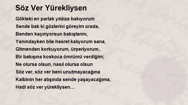 Emre Turgay