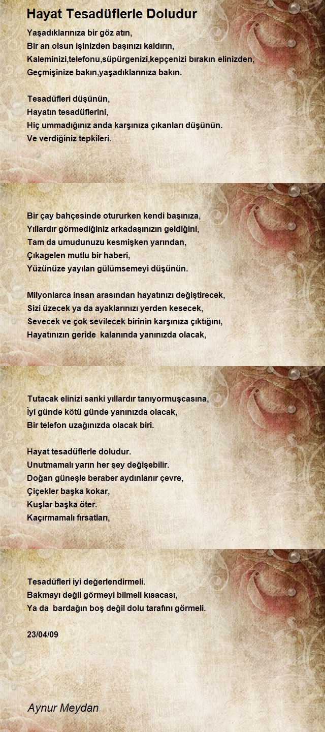 Aynur Meydan