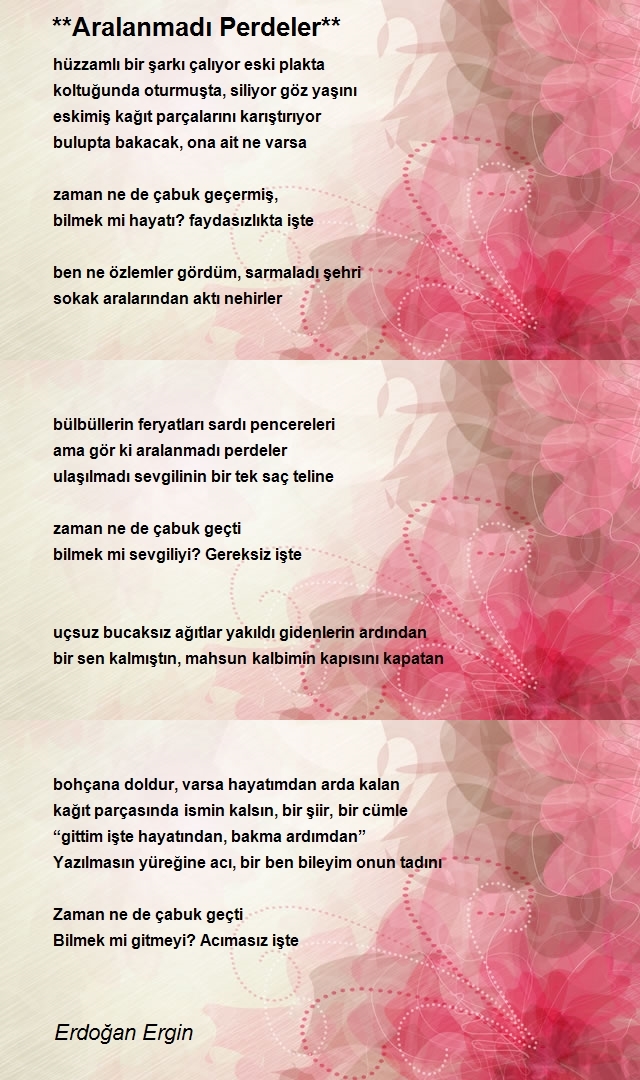 Erdoğan Ergin