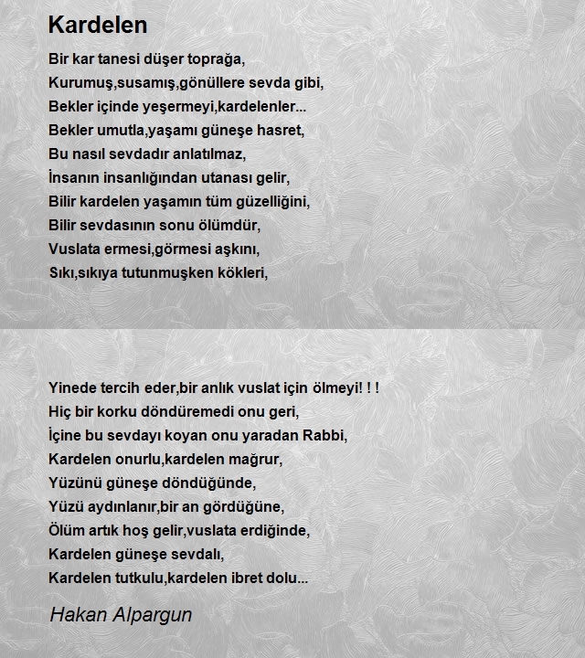 Hakan Alpargun