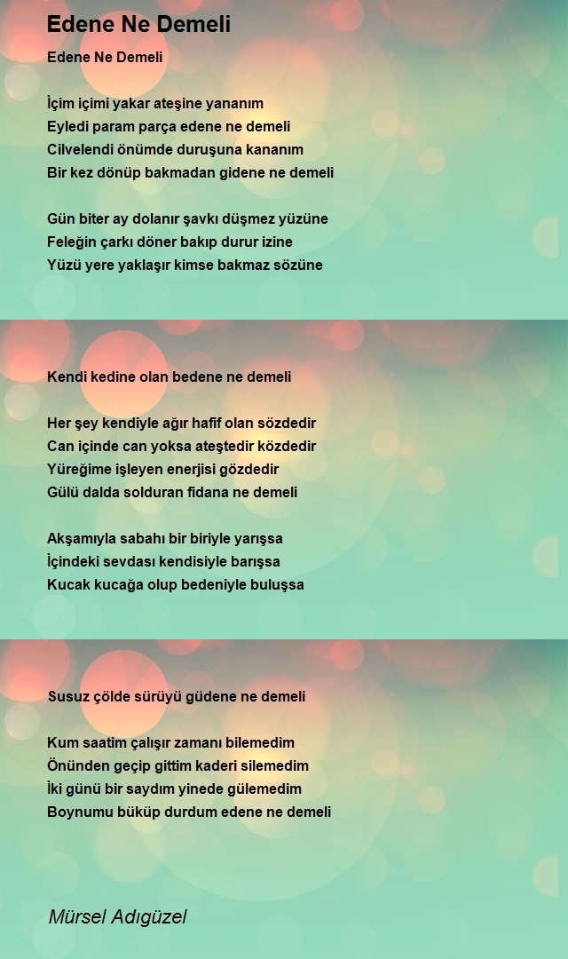 Mürsel Adıgüzel