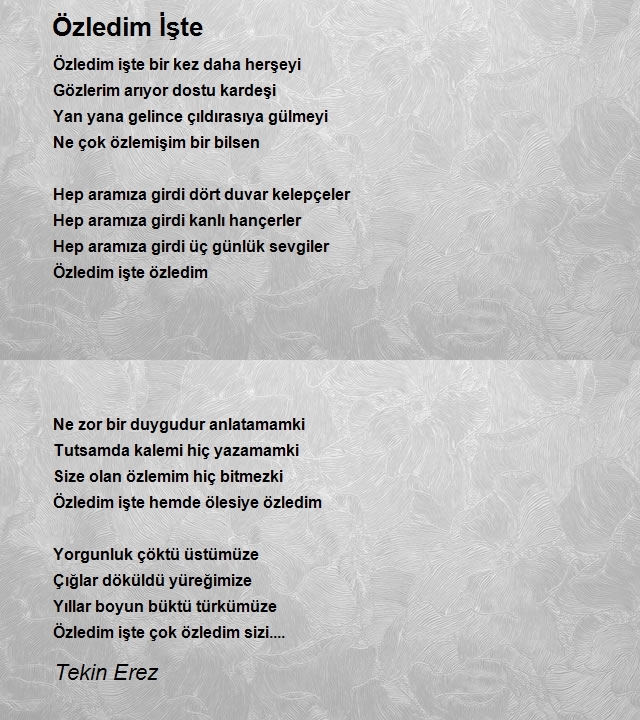 Tekin Erez