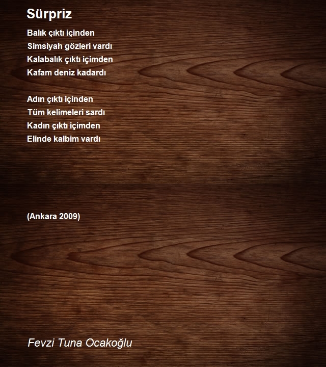 Fevzi Tuna Ocakoğlu