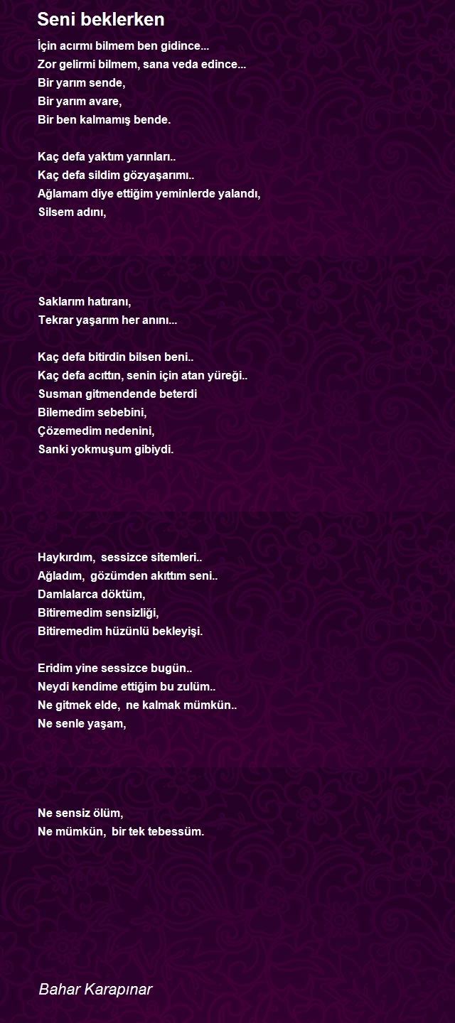 Bahar Karapınar