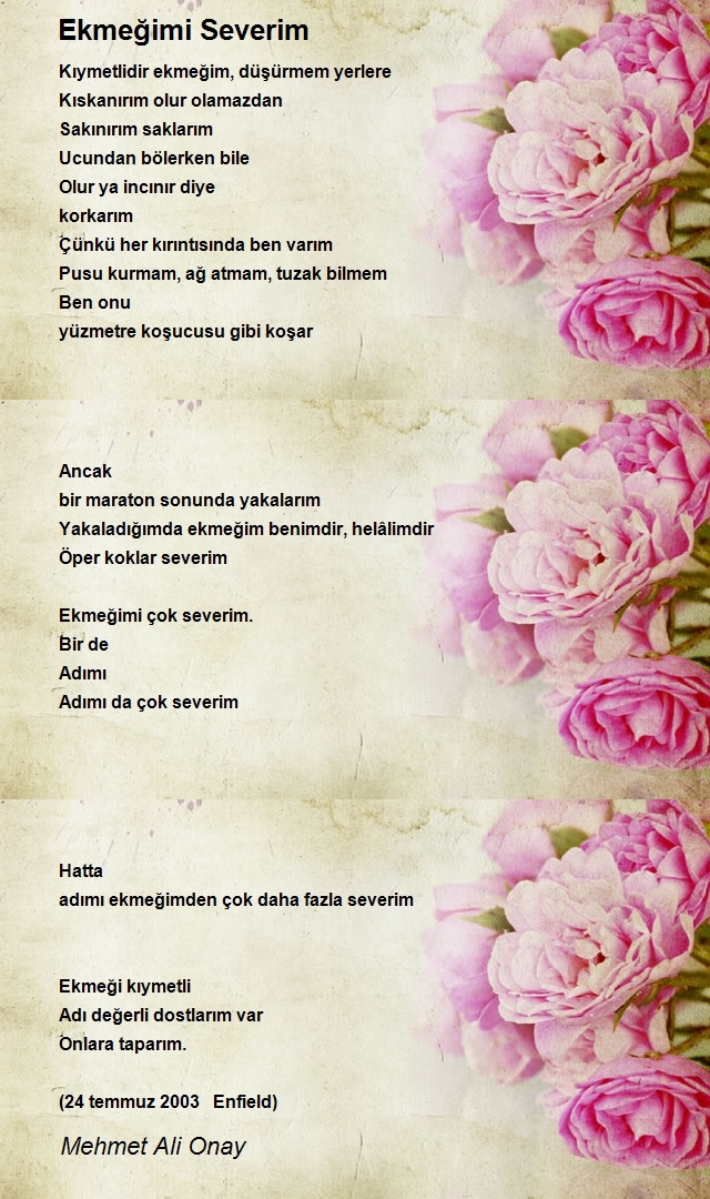 Mehmet Ali Onay