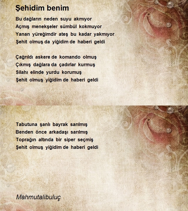 Şair Mahmutalibuluç