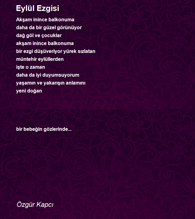 Özgür Kapcı