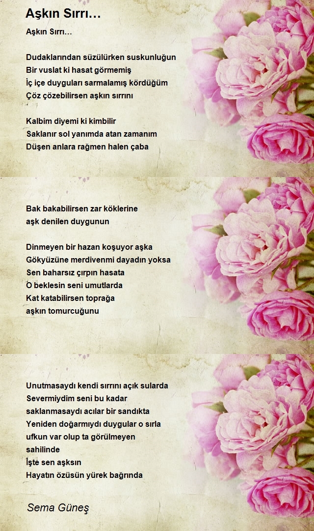 Sema Güneş