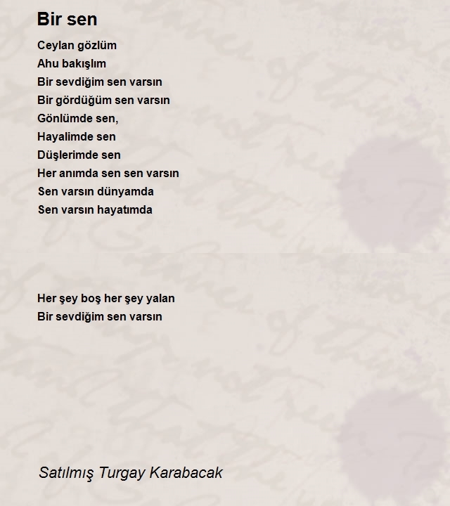 Satılmış Turgay Karabacak