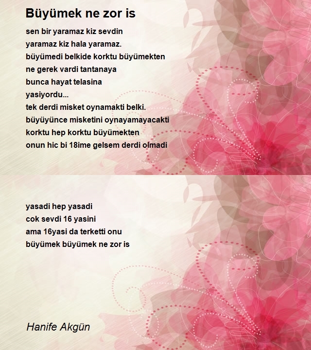 Hanife Akgün